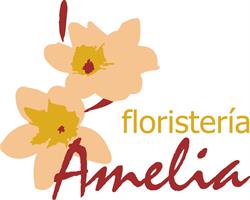 Horario de apertura FLORISTERÍA AMELIA, Hinojosa del Duque