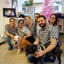 Gerardo Capozzi Veterinario en Valencia (La Saïdia) - Horario de apertura