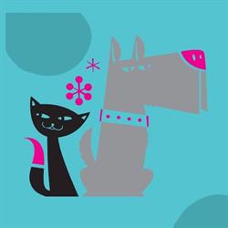 Clínica Veterinaria la Llum en Valencia (L'olivereta) - Horario de apertura