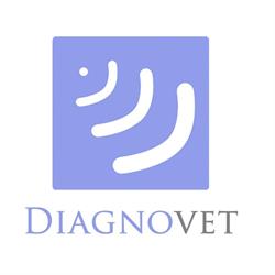 Diagnovet en Barcelona (Gràcia) - Horario de apertura