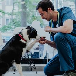 Horario de apertura URQUIZA CLINICA VETERINARIA, Logroño