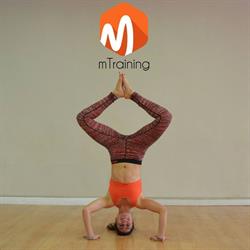 Horario de apertura mTraining Minerva, Palma del Río