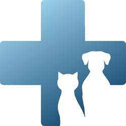 Horario de apertura Clínica 4Potes.com - Veterinario Torredembarra, 