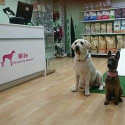 Horario de apertura Mile Todo Para Tu Mascota, Alicante