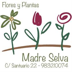 Horario de apertura Flores y Plantas Madre Selva (Mª Asunción Fernández Perrino), Valladolid