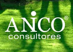 Horario de apertura Anico Consultores, Lleida