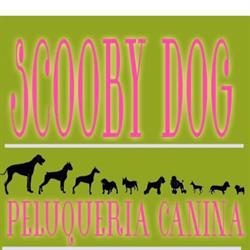 Horario de apertura Peluquería Canina Scooby Dog Villanueva Del Pardillo, Villanueva del Pardillo