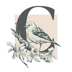 Papelería Cartaria en Gijón (Centro) - Horario de apertura