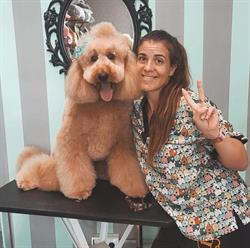 Horario de apertura Doggy Dog Peluquería canina y felina, Gavà