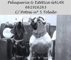 Horario de apertura Galan Peluquería & Estética Unisex, Toledo