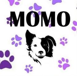 Horario de apertura Peluquería Canina Momo, Arroyomolinos