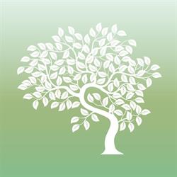Instituto esMindfulness en Barcelona (Eixample) - Horario de apertura