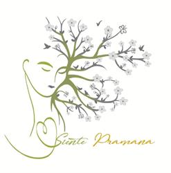 Horario de apertura Centro yoga Pramana, Torrelavega