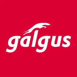 Horario de apertura GALGUS, Camas