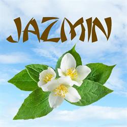 Horario de apertura Jazmin Thai Masaje, Dénia