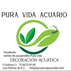 Horario de apertura Pura Vida, Las Palmas de Gran Canaria