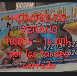 Horario de apertura tropicalia, Elche