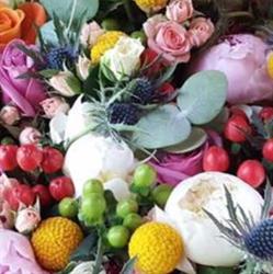 Horario de apertura Flor Del Saz, Fuente El Saz de Jarama
