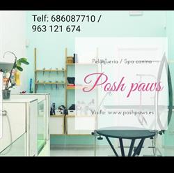 Posh paws valencia en Valencia (Camins Al Grau) - Horario de apertura
