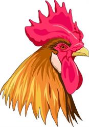 Horario de apertura Comercio "El Gallo", Olvega