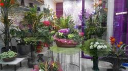 Horario de apertura Bouquet Floristería, Zamora
