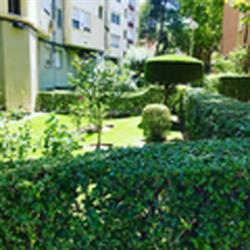 Horario de apertura FJRP JARDINERÍA Y LIMPIEZA, Madrid