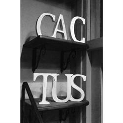 Horario de apertura Cactus Ibiza Boutique, Sant Josep de sa Talaia