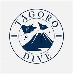 Horario de apertura Tagoro Dive by Green Shark, La Restinga