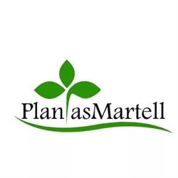 Horario de apertura Plantas Martell, Santa Oliva