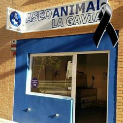 Horario de apertura Aseo Animal La Gavia - Autolavado de Mascotas, Madrid