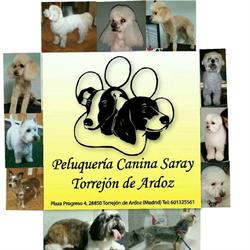 Horario de apertura Peluquería Canina Saray, Torrejón de Ardoz