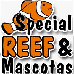 Horario de apertura SPECIAL REEF, San Pedro de Alcántara