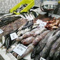Horario de apertura Pescaderia Mar En Calma, A Coruña