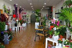 Horario de apertura El Carmen Floristas, Torre-Pacheco