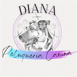 Horario de apertura PELUQUERÍA CANINA DIANA, Valencia