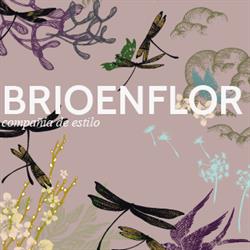 Horario de apertura Floristería BRIOENFLOR compañía de estilo, Ourense