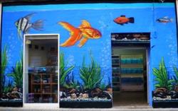 Horario de apertura Peces Aguazul, tienda Acuariofilia, Elche