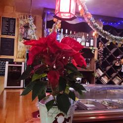 Horario de apertura Bar Cafetería Vinos Y Copas, Zaragoza