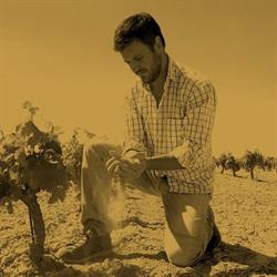 Horario de apertura EL VINO DEL DESIERTO, Lanaja