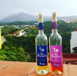 Horario de apertura Viña Engracia, Icod de los Vinos