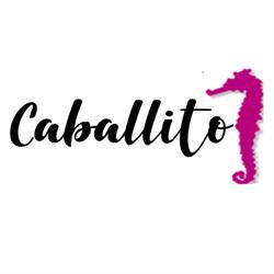 Horario de apertura Bar Terraza Caballito, Fuengirola
