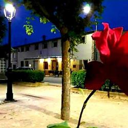 Horario de apertura Restaurante "El Bar de Benagéber",
