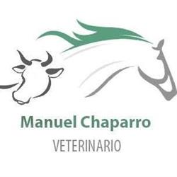 Horario de apertura VETERINARIO CLÍNICO MANUEL CHAPARRO SANZ, Madrigalejo