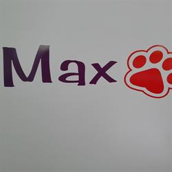 Horario de apertura PELUQUERIA CANINA MAX, Cartagena