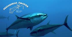 Horario de apertura Pescadería Amador, Albacete