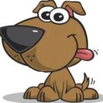 Horario de apertura Mascotas Reva, Riba-roja de Túria