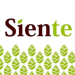 Horario de apertura Sienté, Barcelona