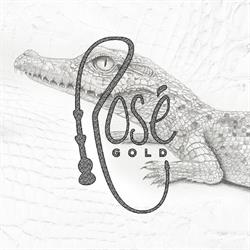 Horario de apertura Rose Gold Hookah Lounge, Talavera de la Reina