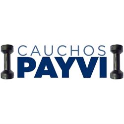 Horario de apertura CAUCHOS PAYVI, Illescas