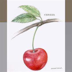 Horario de apertura CEREZA JACA, Jaca